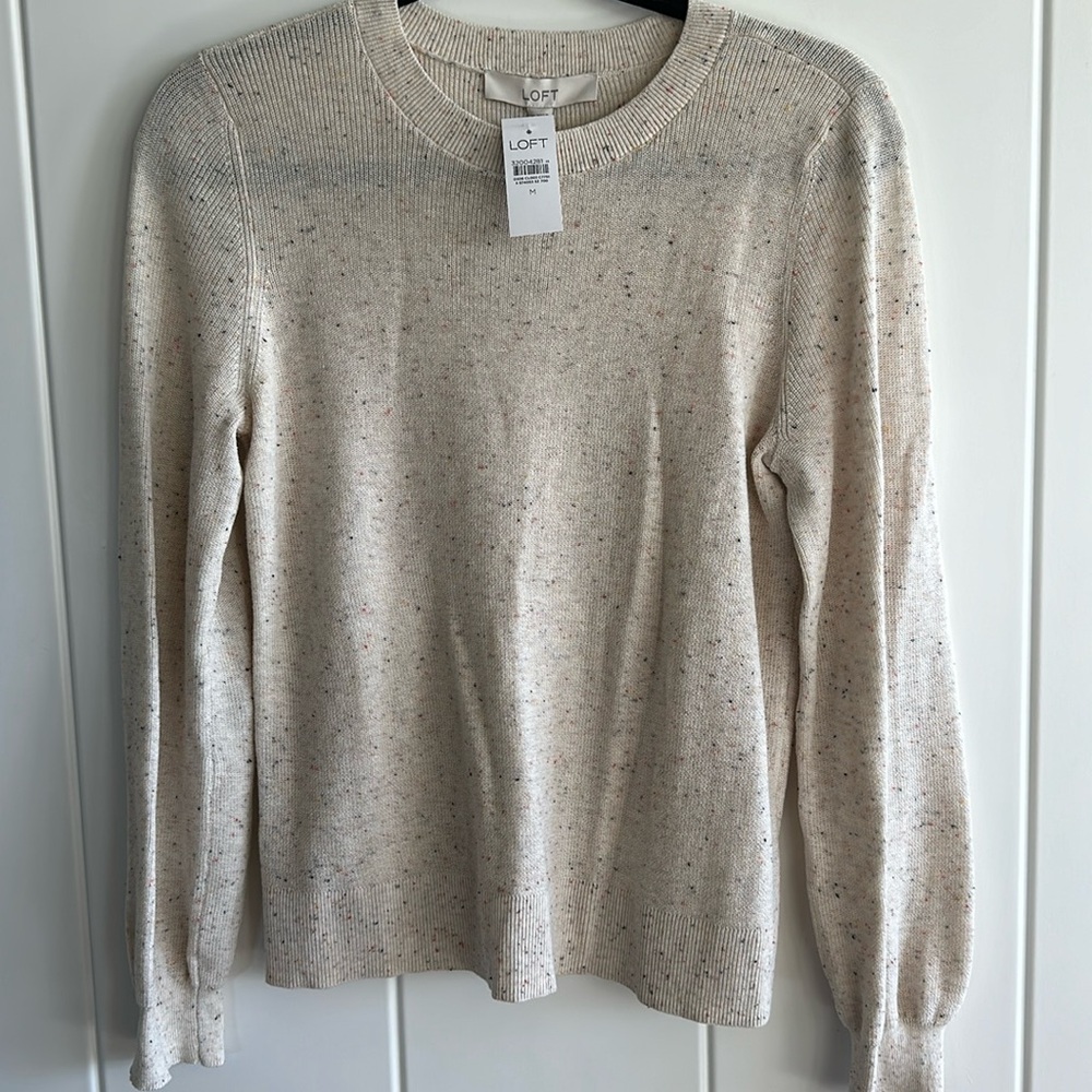 LOFT sweater